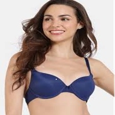 Plunge Bra